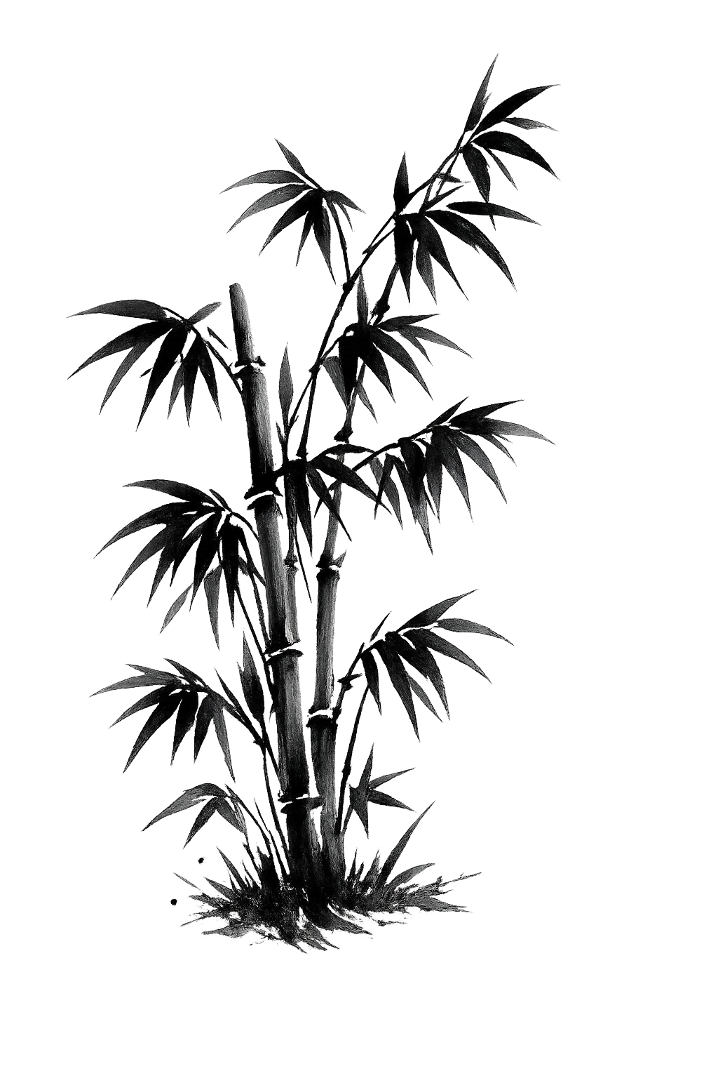 Bamboo